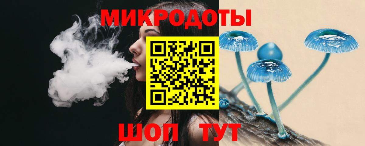 Краснознаменск  наркота  Псилоцибиновые грибы GOLDEN TEACHER  Вход с VPN  Псилоцибиновые грибы Cubensis 